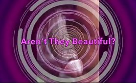 You No Longer Like Girls by Amber Scarlett